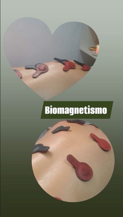 Biomagnetismo
